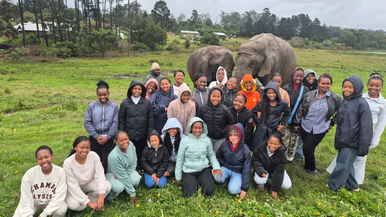 Making memories with gentle giants