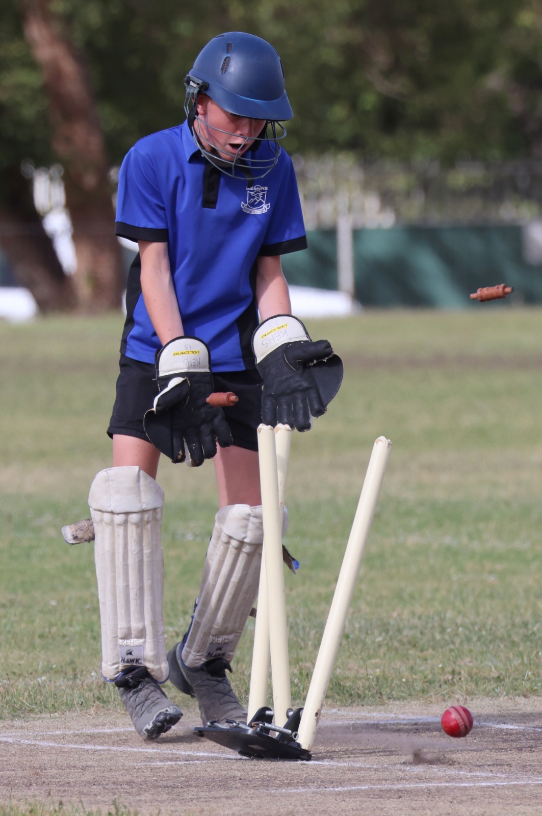 WhatsApp Image 2026 02 02 at 09.39.13