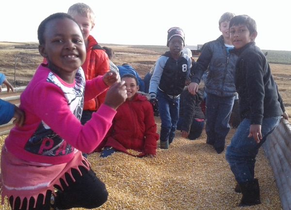 Grade 2s in a tractor trailer full of mealies